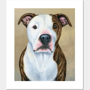 Brindle and White Pitbull Terrier Dog Posters and Art